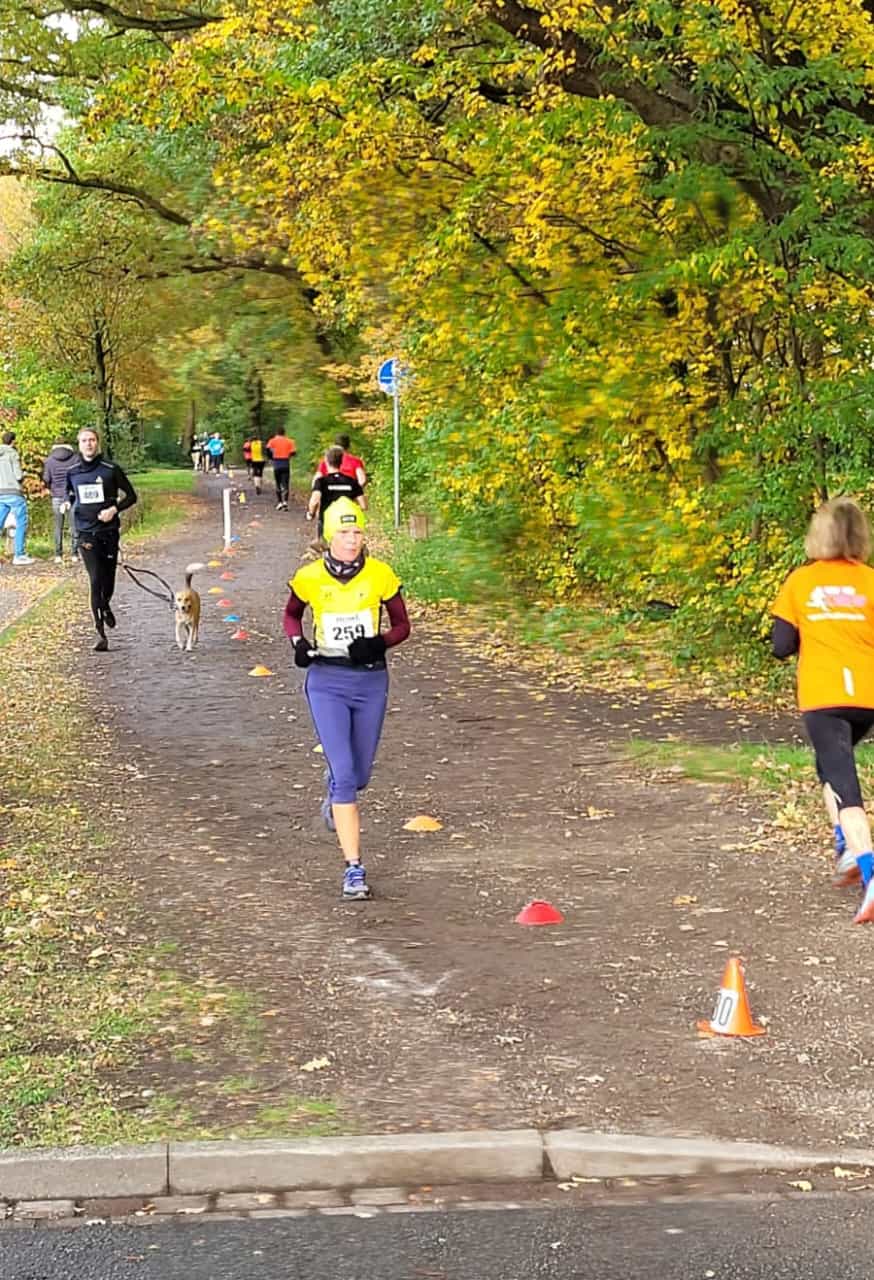 80c26faa6c31442f8a4fa39c40f67c41