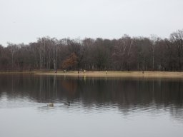 58. Silberseelauf 2023