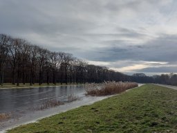 Winterlauf Georgengarten